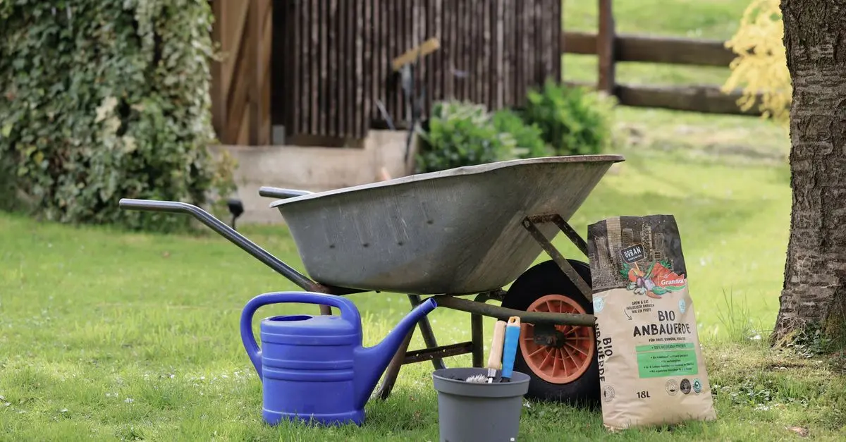 Guide d'Achat : Meilleur Engrais Bio