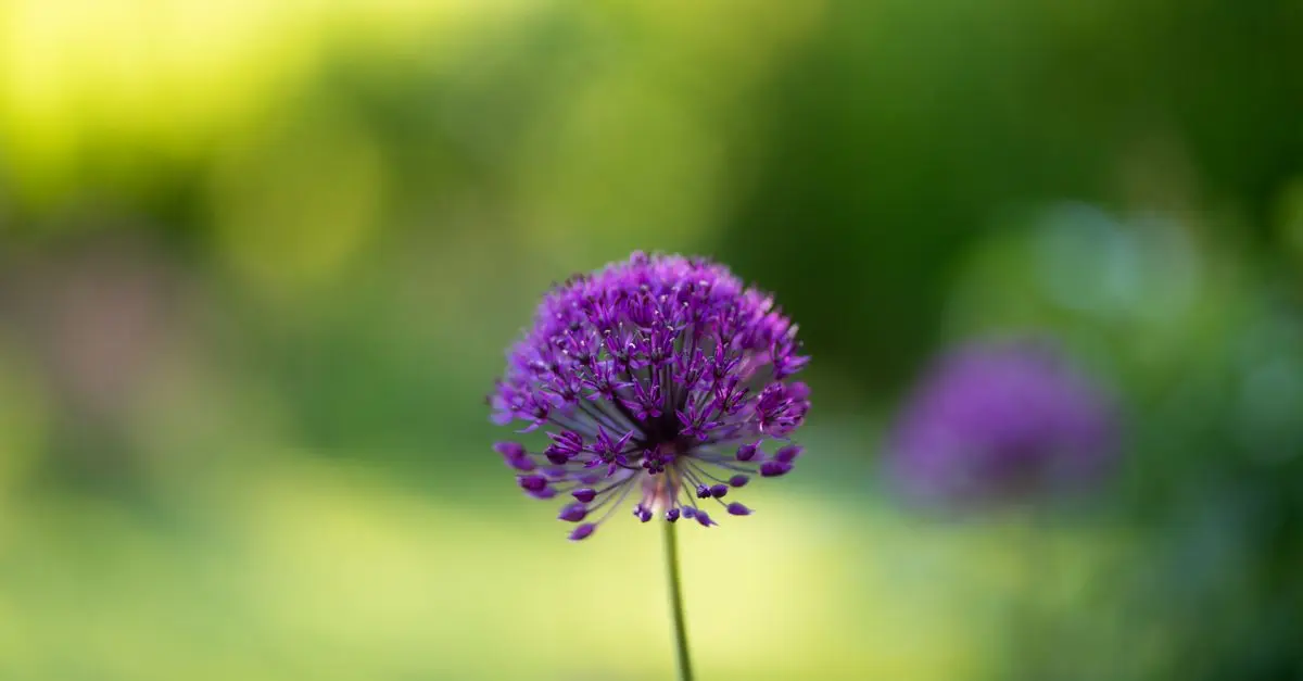 Guide d'achat sur les Jardinières Automatiques