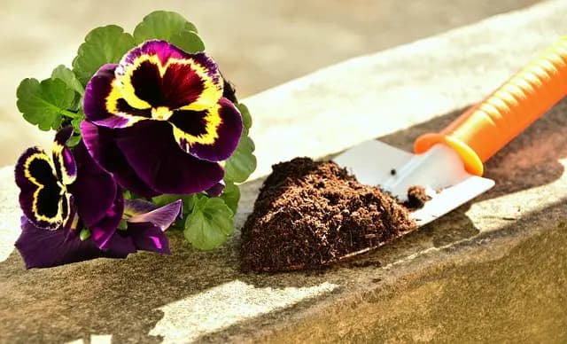 Guide d'Achat : Meilleur Terreau pour Plantes d'Extérieur