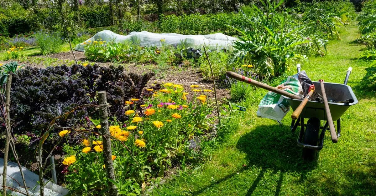 Quel est le meilleur kit de jardinage pour balcon ?