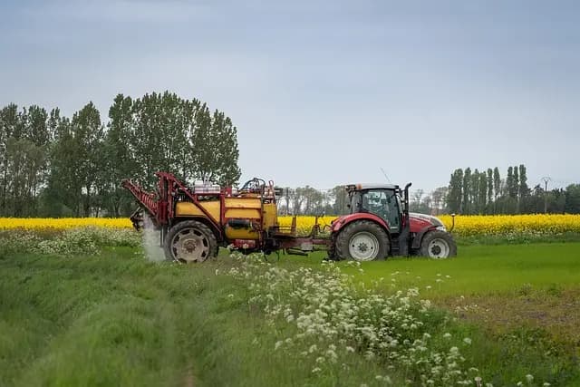 Guide d'Achat : Meilleur Désherbant Bio